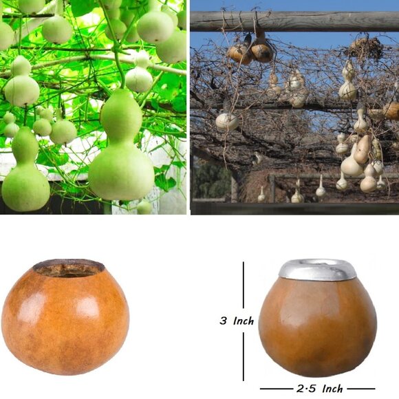 Yerba Mate Gourd Straw Stainless Cup KIT ARTISAN HANDMADE Fisherman - Picture 7 of 7